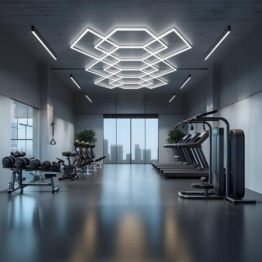BUTTERFLY LED SYSTEM